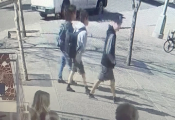 Color photo of potentially involved suspects